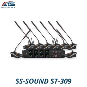 SS-SOUND ST-309