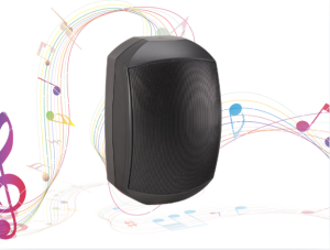 Loa ngoài trời, trong phòng 40W dùng cho sân chơi Pickleball